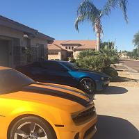 Robert's Blue and Bee 2010 Camaros